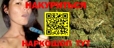 шишки Будённовск