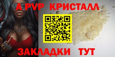 шишки Будённовск