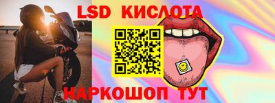 шишки Будённовск