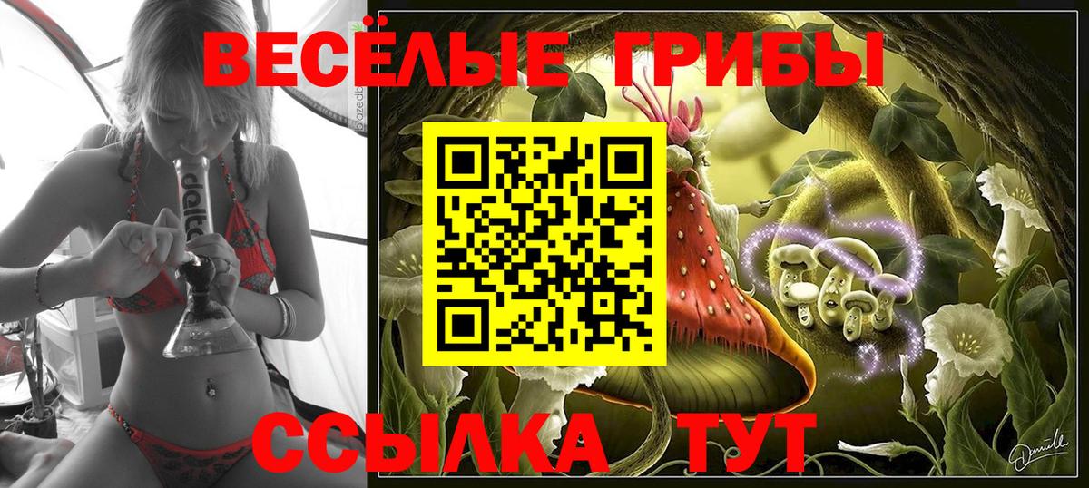 Галлюциногенные грибы мицелий  Вход с VPN  купить  цена  Великий Новгород  Псилоцибиновые грибы прущие грибы 